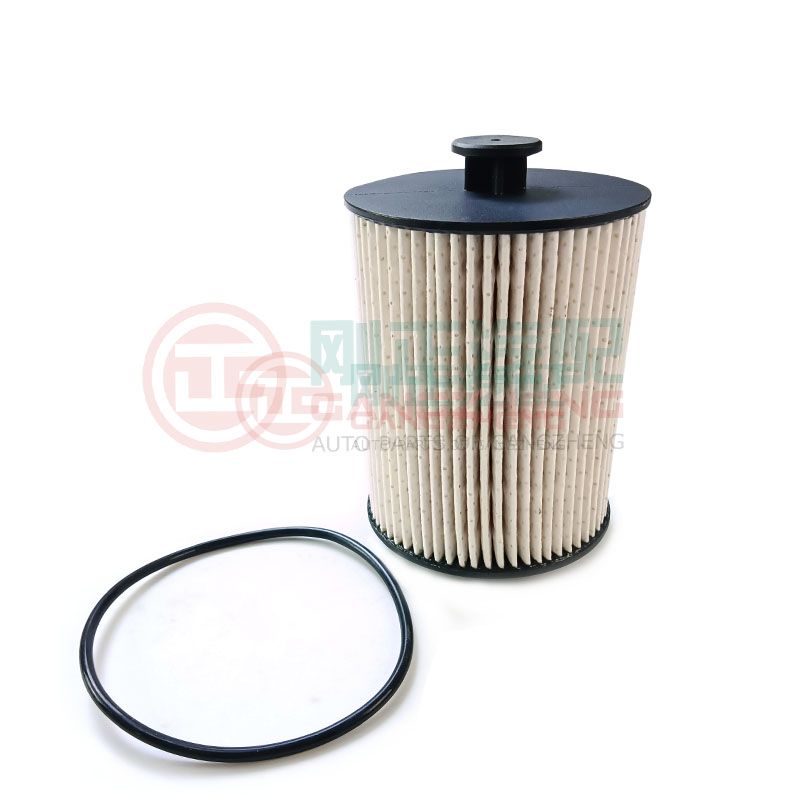 FS19925 Car Engine Diesel Filter Spare Parts For FOTON TUNLAND