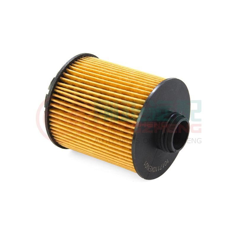 1017110XEN01-PT Auto car oil filter spare parts for HAVAL H6