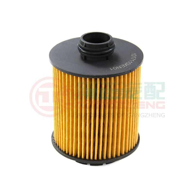 1017110XEN01-PT Auto car oil filter spare parts for HAVAL H6