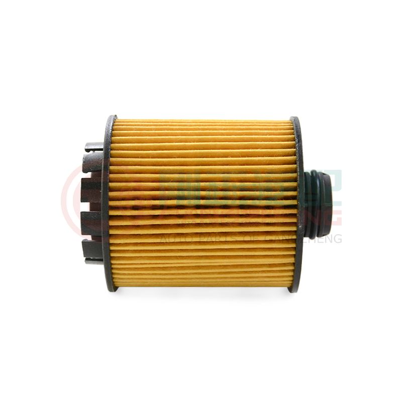 1017110XEN01-PT Auto car oil filter spare parts for HAVAL H6