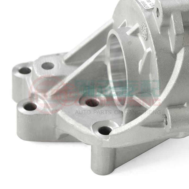 OE 307010-A02 Auto Car Engine Water Pump 2.0L For Changan Car Parts