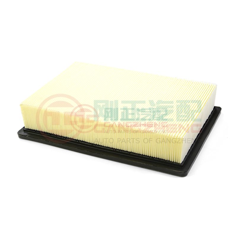 2010005ASV0000 Auto Car Air Filter Spare Parts For GAC TRUMPCHI GS4 1.3T 1.5T