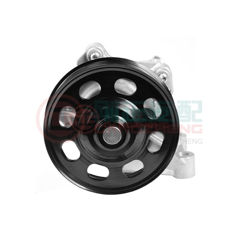 OE 1307010-NE01 Car Cooling System Engine Water Pump Assembly Part For Changan 473ZQ5-NE15T