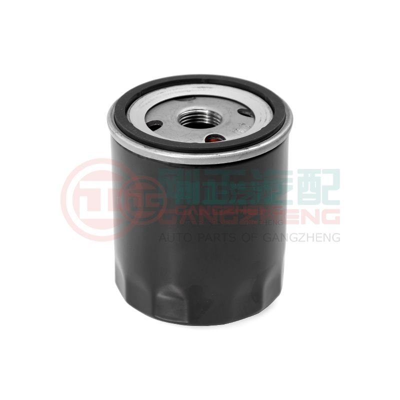 OE 480-1012010 Genuine Quality Car Engine Oil Filters Parts For Chery Tiggo 4